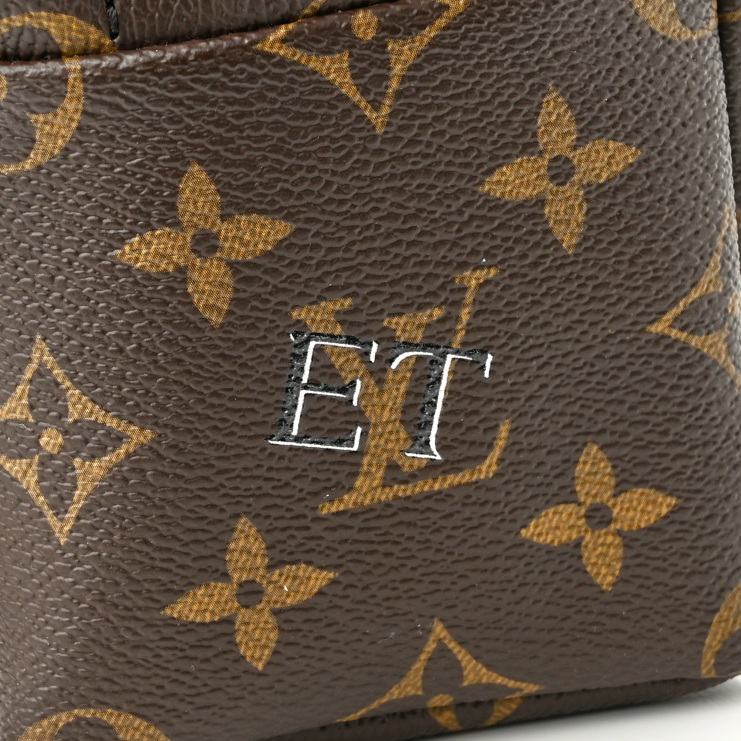 Monogram Palm Springs Backpack Mini