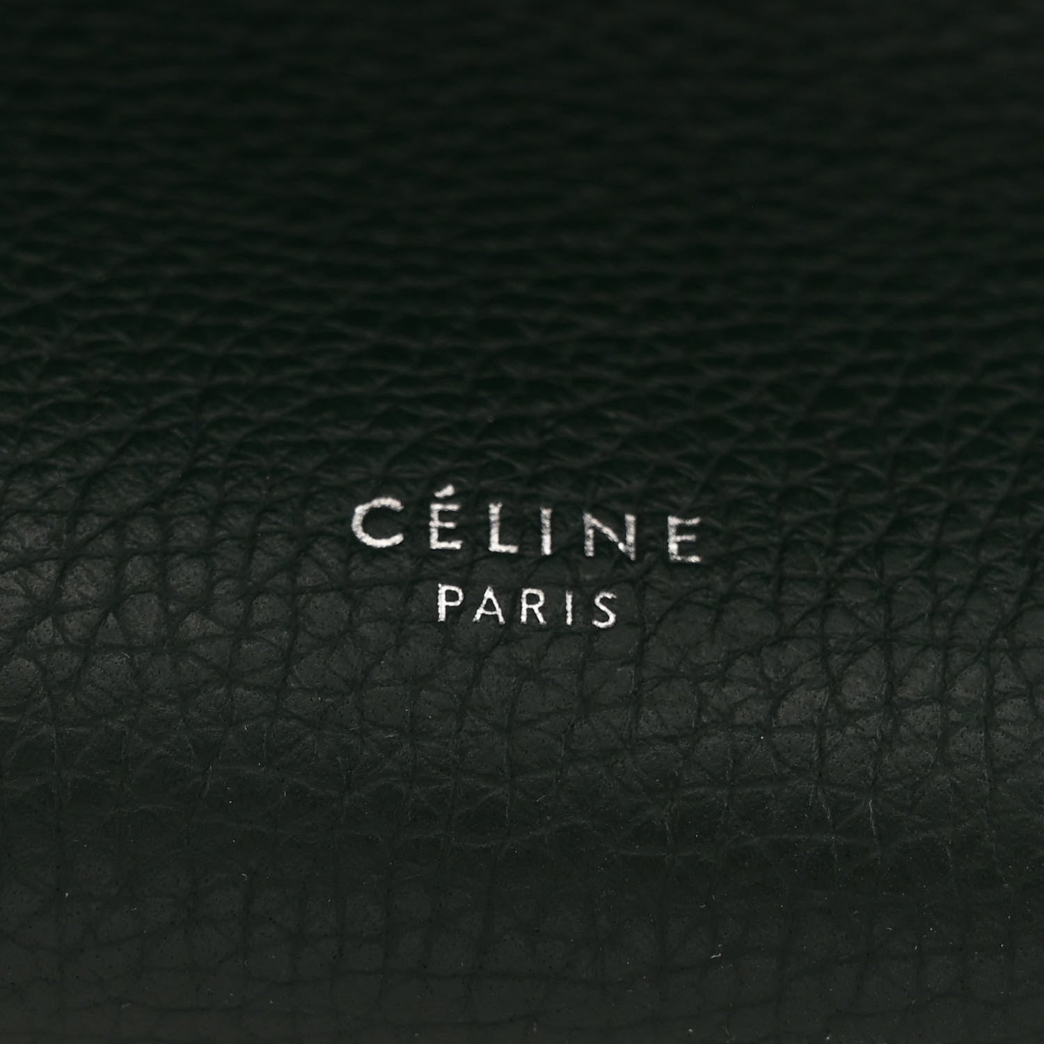 Celine Supple Grained Calfskin Small Big Bag Amazone 6 of 10
