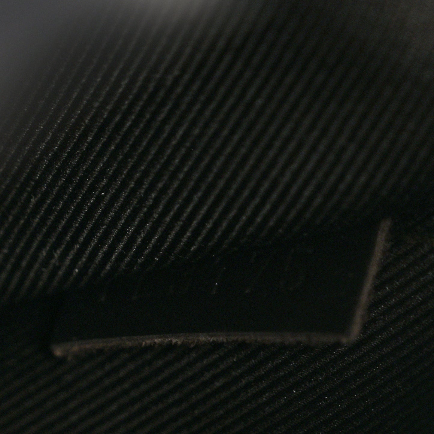 Damier Ebene Jake Backpack