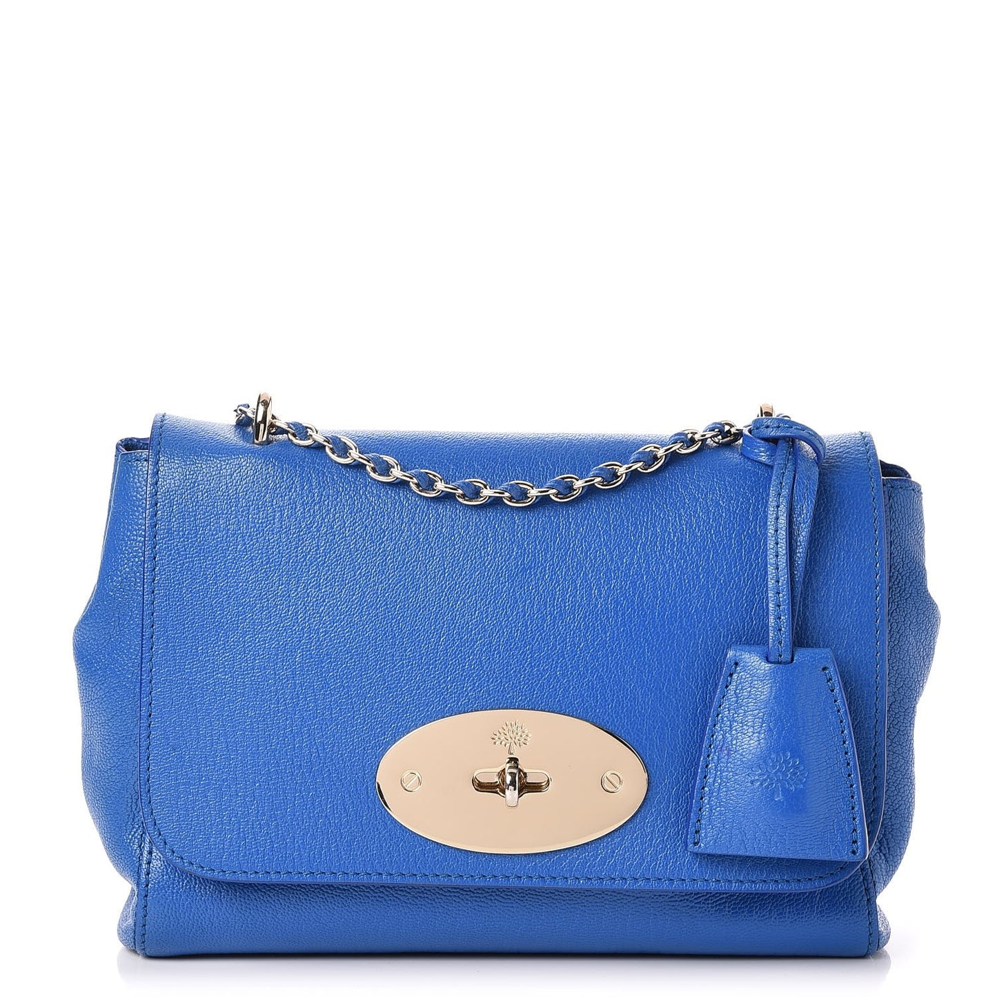 Glossy Goatskin Small Lily Flap Bluebell Blue