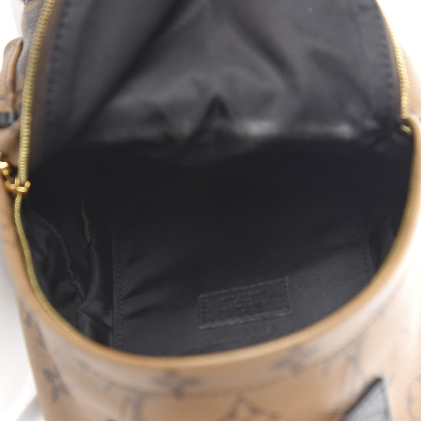 Reverse Monogram Palm Springs Backpack Mini