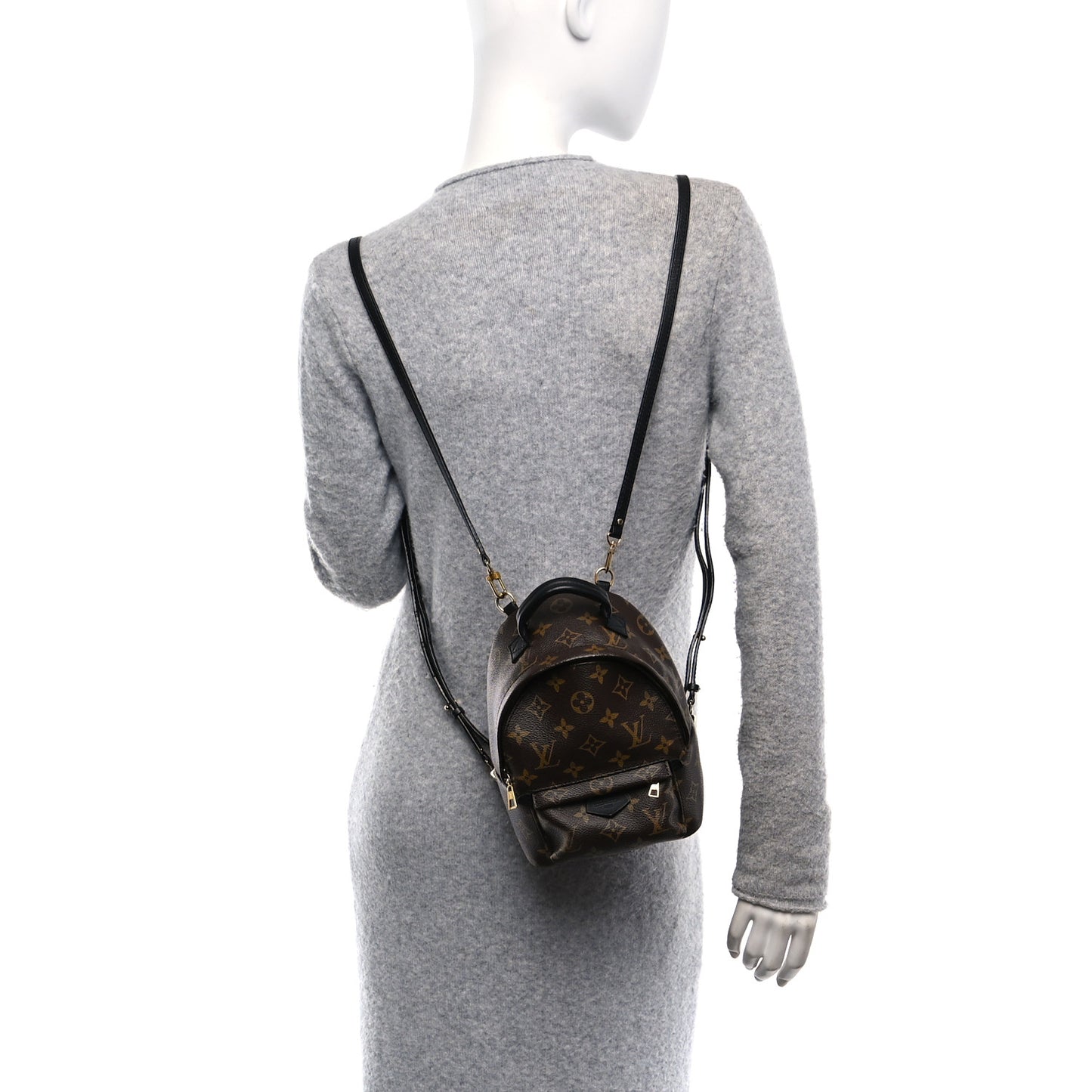 Monogram Palm Springs Backpack Mini