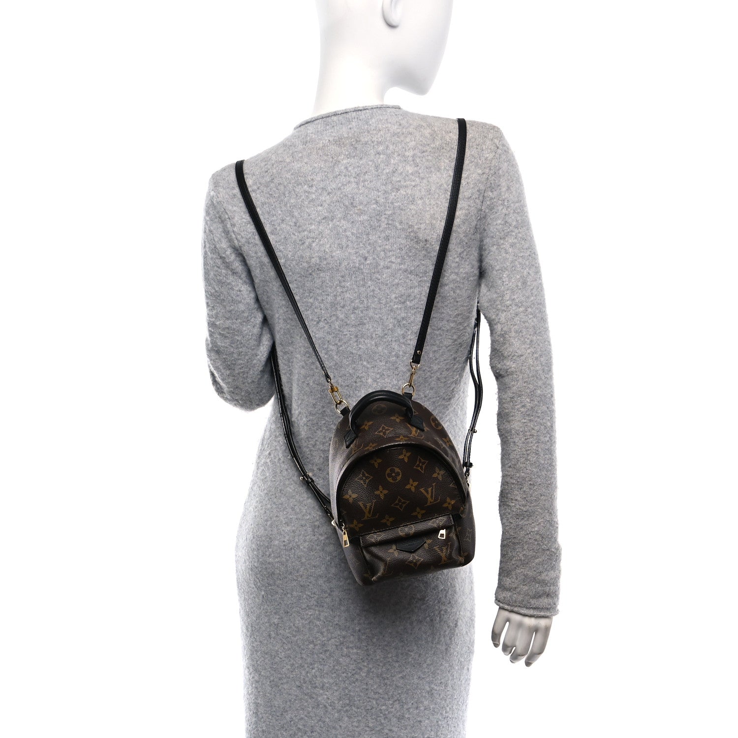 Louis Vuitton Monogram Palm Springs Backpack Mini 2 of 14