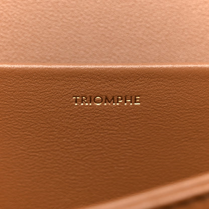 Celine Shiny Calfskin Medium Triomphe Bronze 7 of 16