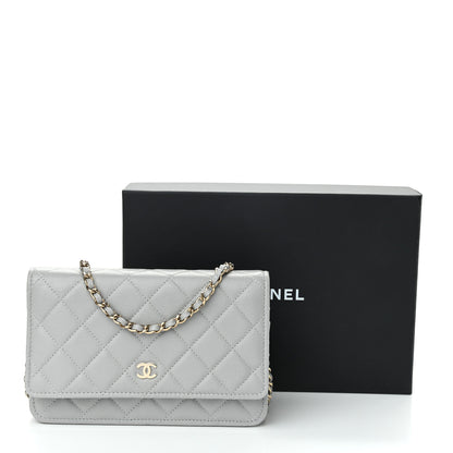 Chanel Caviar Quilted Wallet On Chain WOC Grey 12 of 12