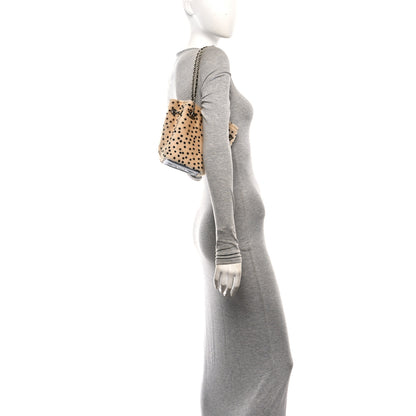Chanel Pony Hair Cheetah Printed CC Chain Bucket Bag Light Beige Black 2 of 10