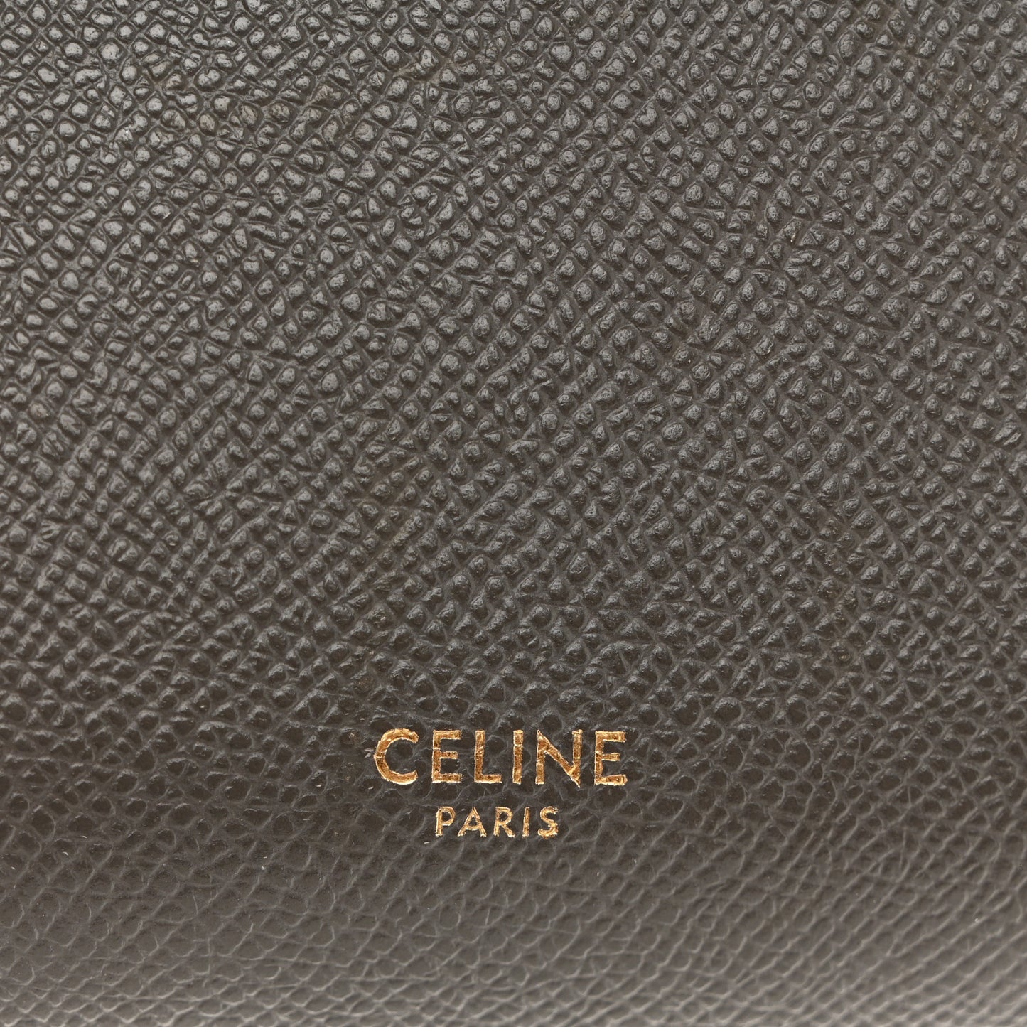 Grained Calfskin Nano Belt Bag Grey