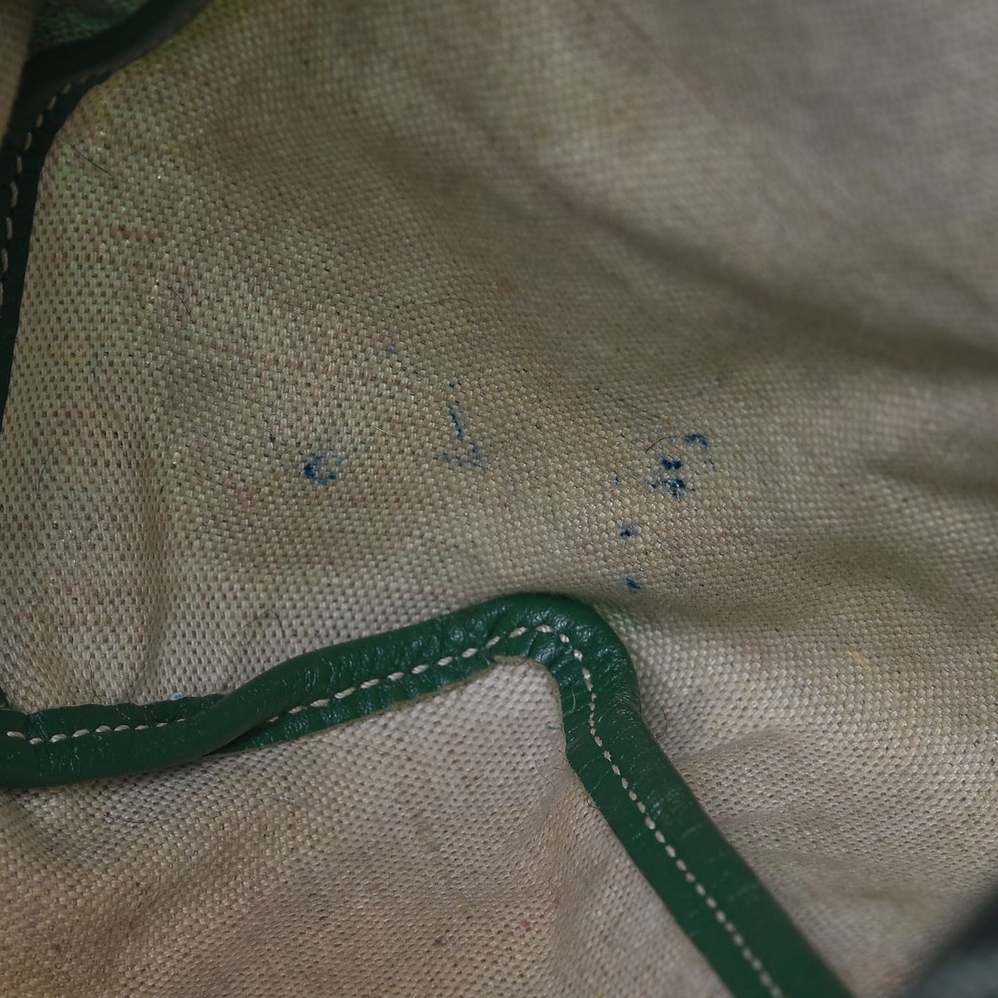 Goyardine Saint Louis PM Green