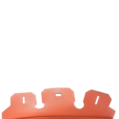 Hermes Togo Birkin 30 Feu 18 of 37
