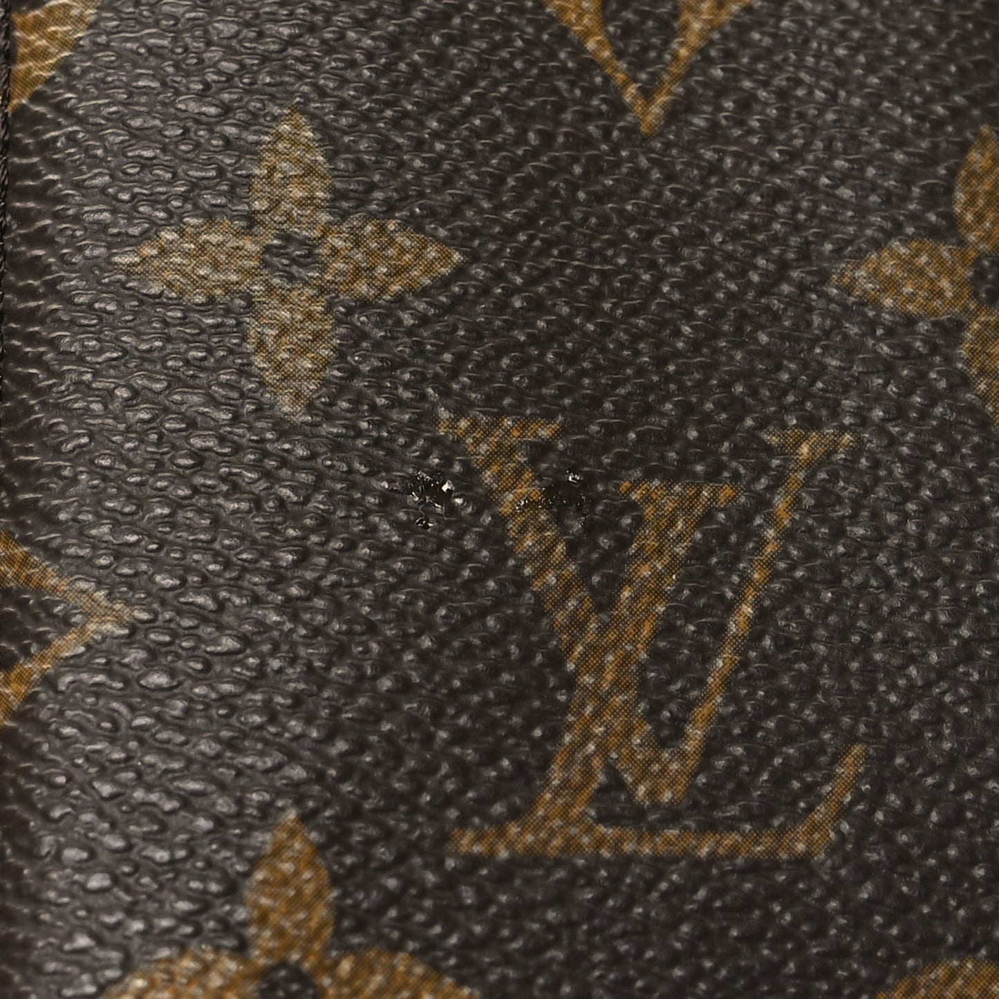 Monogram Sunglasses Case PM