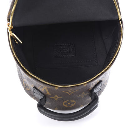 Louis Vuitton Monogram Palm Springs Backpack Mini 4 of 9