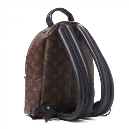 Louis Vuitton Monogram Palm Springs Backpack PM 3 of 10