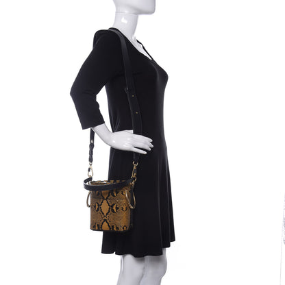 Chloe Python Embossed Calfskin Mini Roy Bucket Bag September Sun 2 of 9