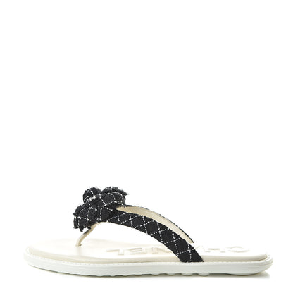 Chanel Tweed Quilted Camellia Thong Sandals 36 Black White 1 of 8