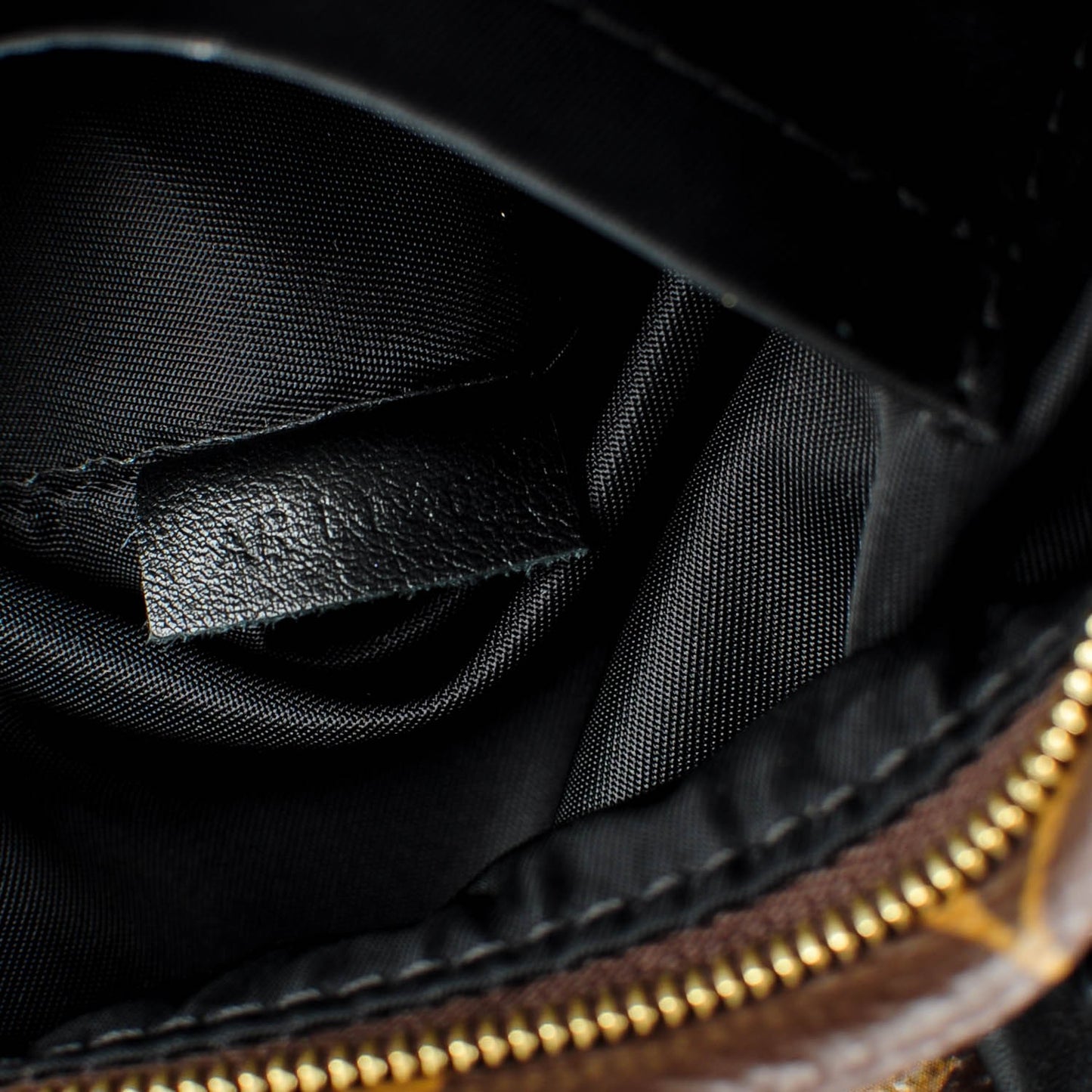Monogram Palm Springs Backpack Mini