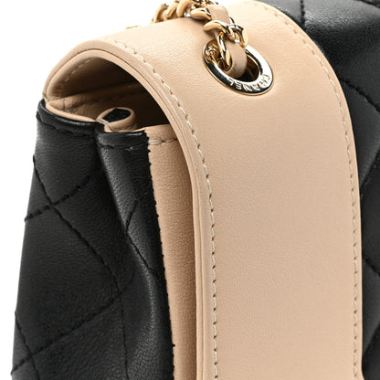 Chanel Sheepskin Quilted Small Vintage Mademoiselle Flap Beige Black 16 of 19