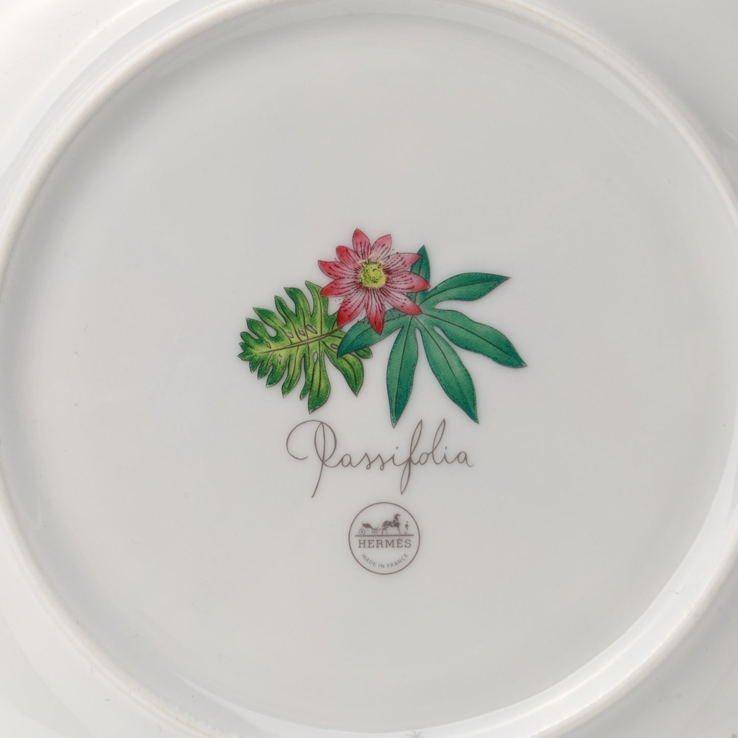 Porcelain Passifolia Dessert Plate N°1 Set of 2