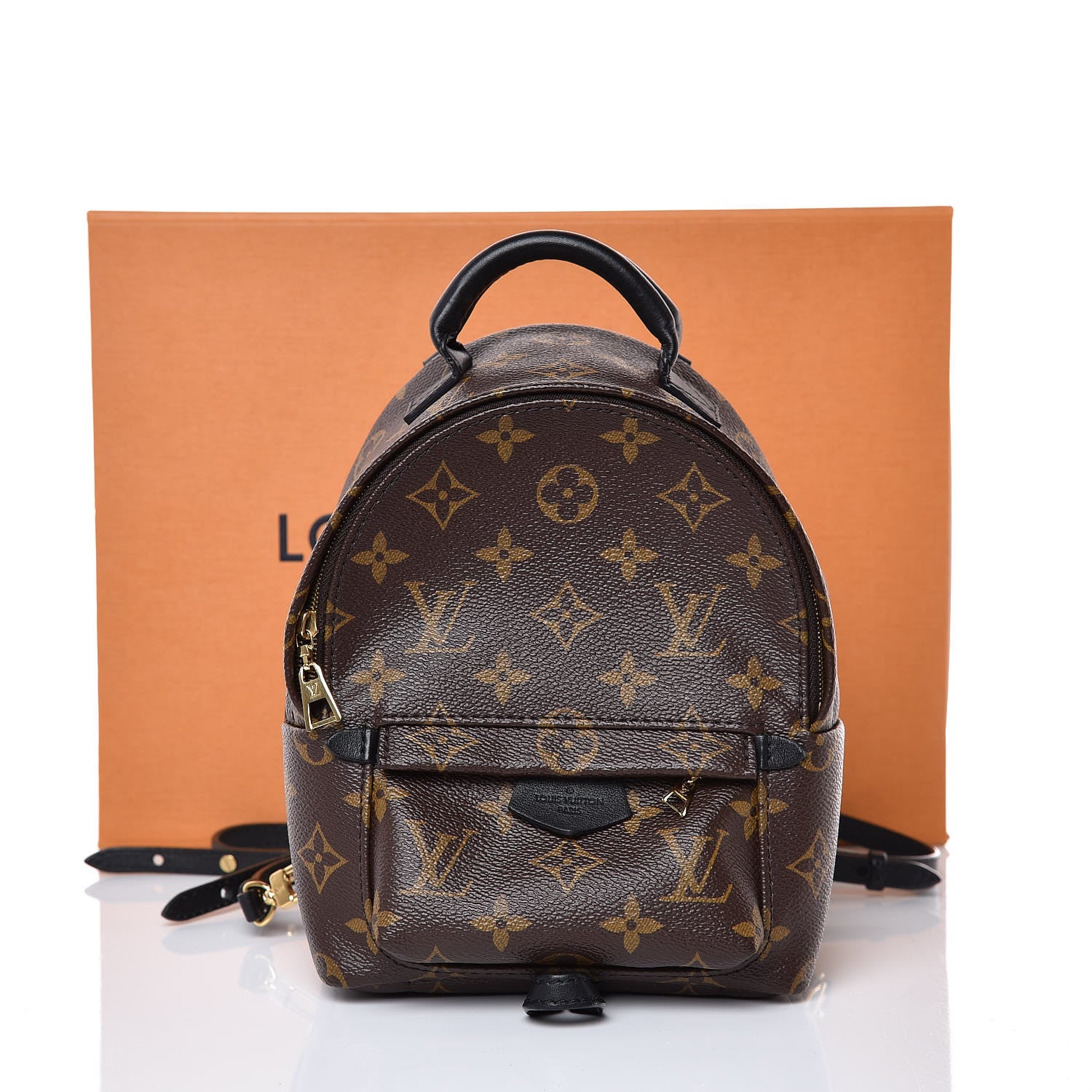 Louis Vuitton Monogram Palm Springs Backpack Mini 12 of 12