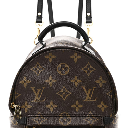 Louis Vuitton Monogram Palm Springs Backpack Mini 7 of 10