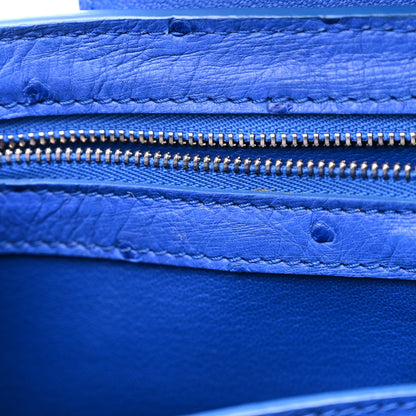 Louis Vuitton Ostrich Capucines MM Saphir 10 of 10