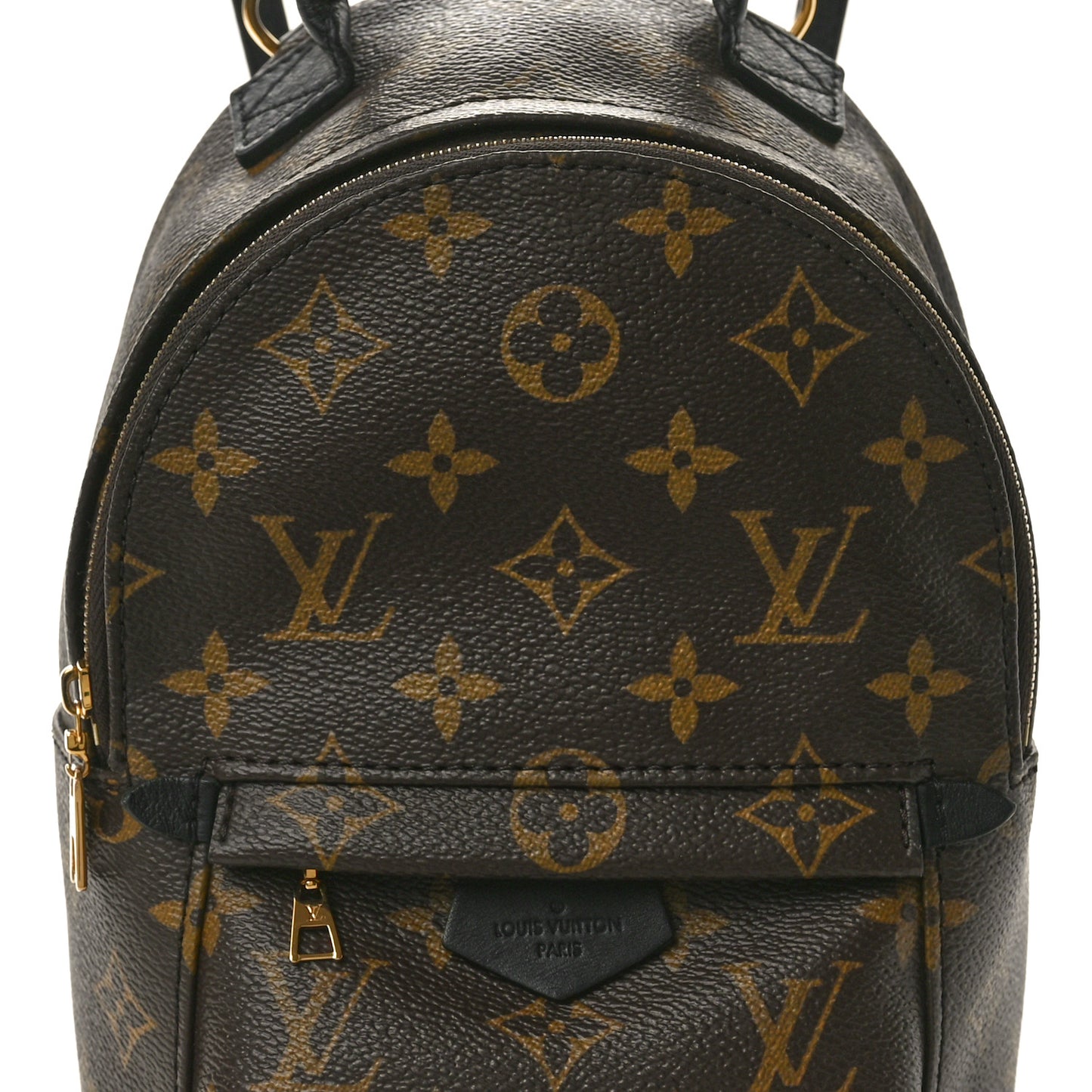 Monogram Palm Springs Backpack Mini