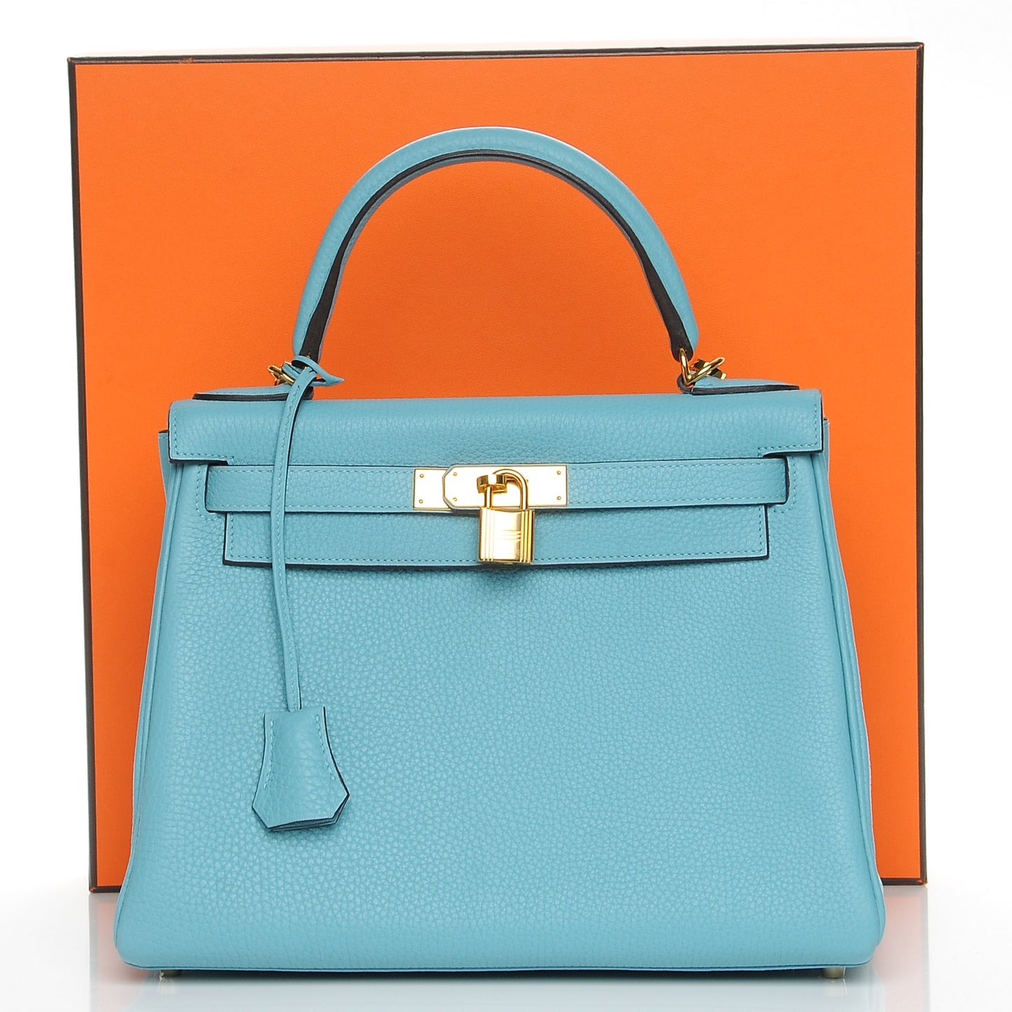 Taurillon Clemence Kelly Retourne 28 Bleu Saint Cyr
