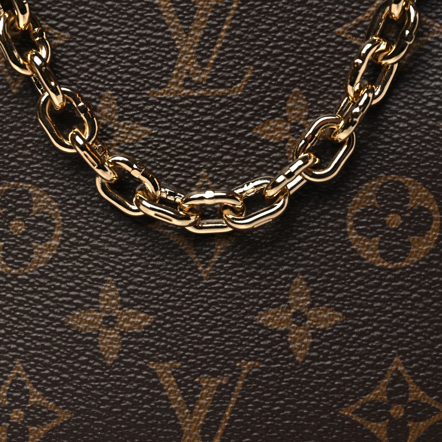 Monogram Chain Pochette Accessories