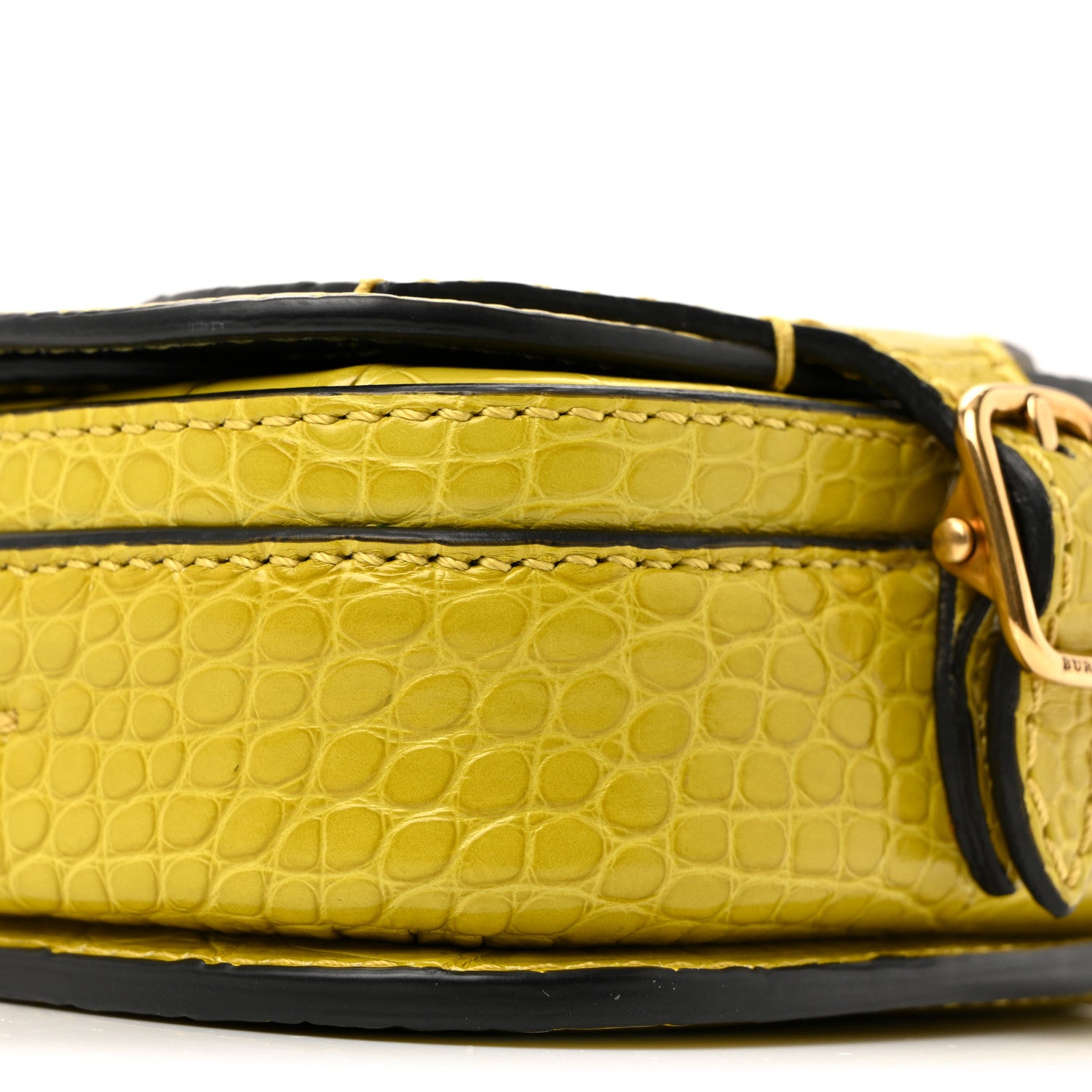 Burberry Alligator Bridle Micro Satchel Lime 23 of 34