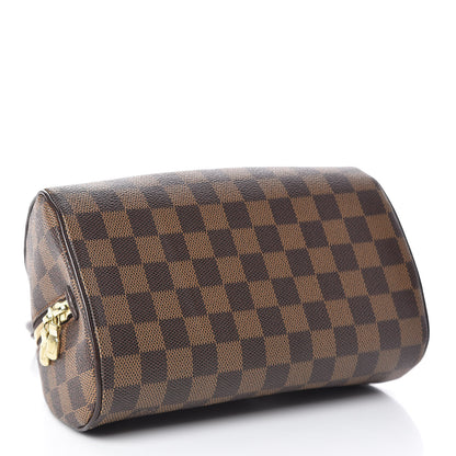 Louis Vuitton Damier Ebene Ribera Mini 4 of 10