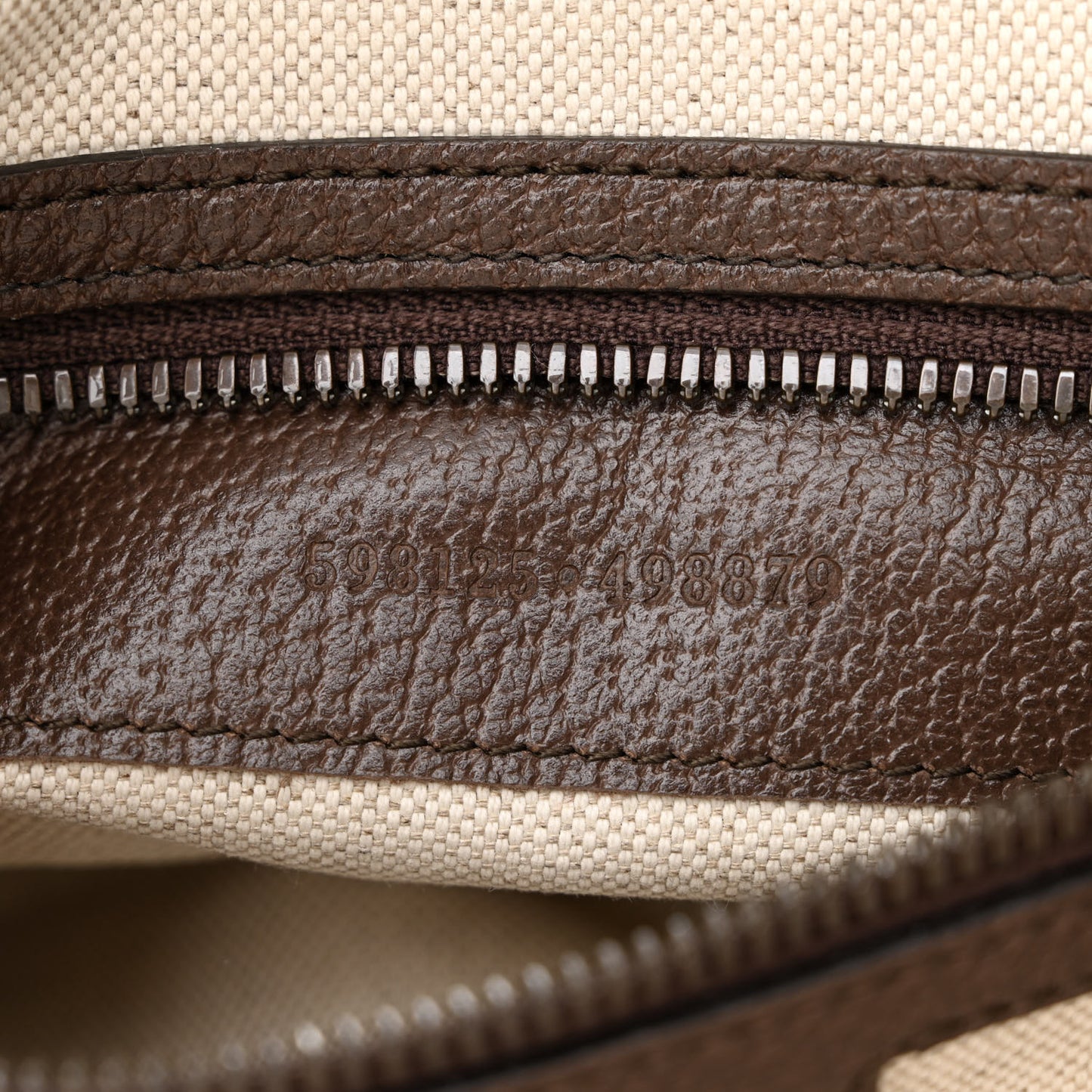 GG Supreme Monogram Web Small Ophidia Half Moon Hobo Brown