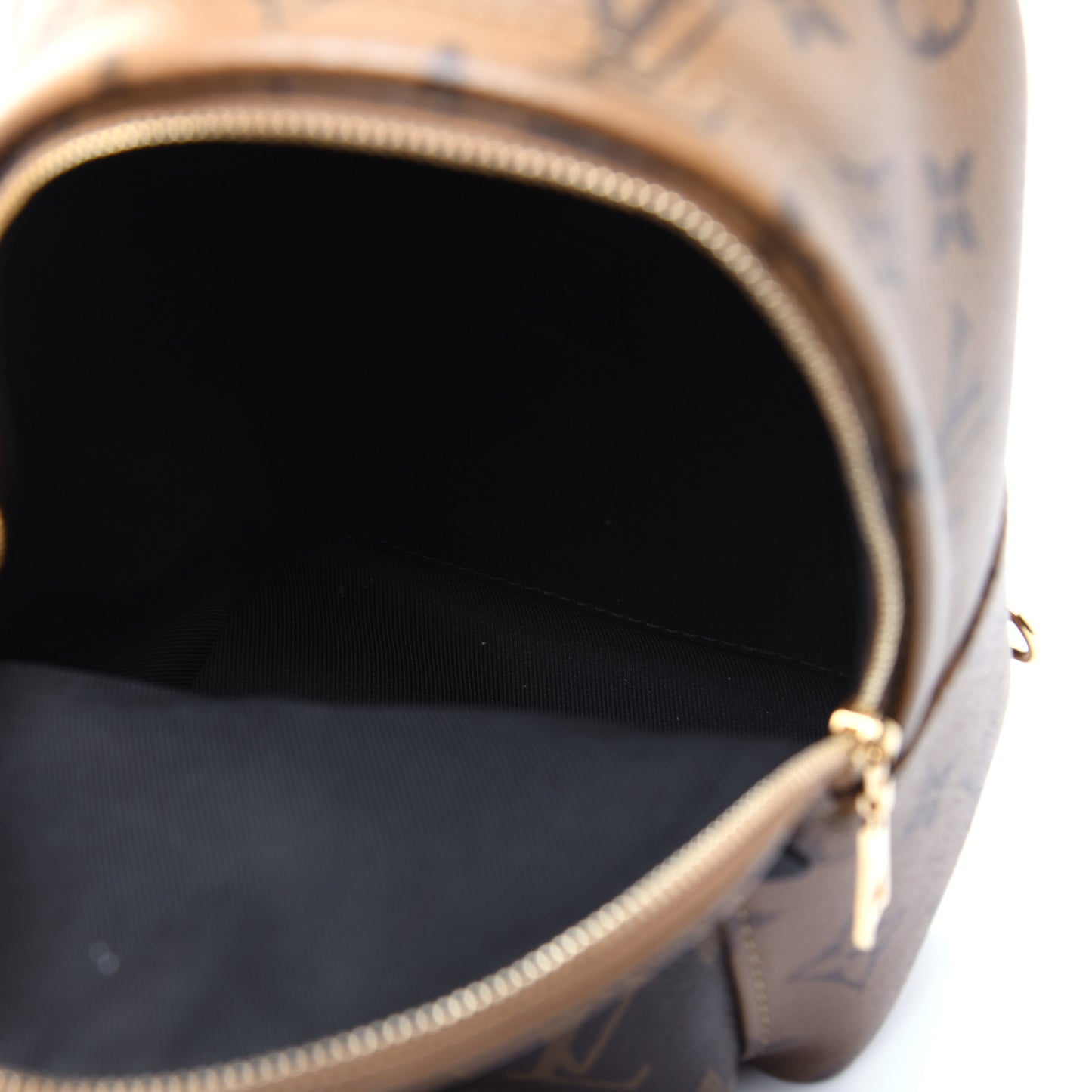 Reverse Monogram Palm Springs Backpack Mini