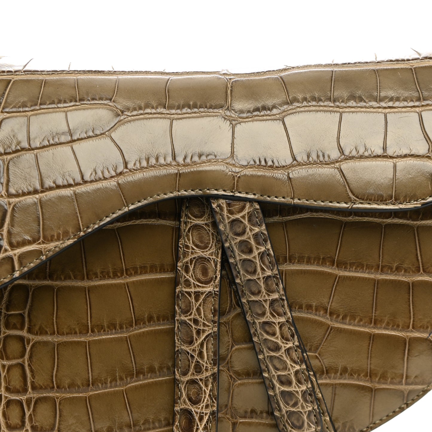 Alligator Saddle Bag Green