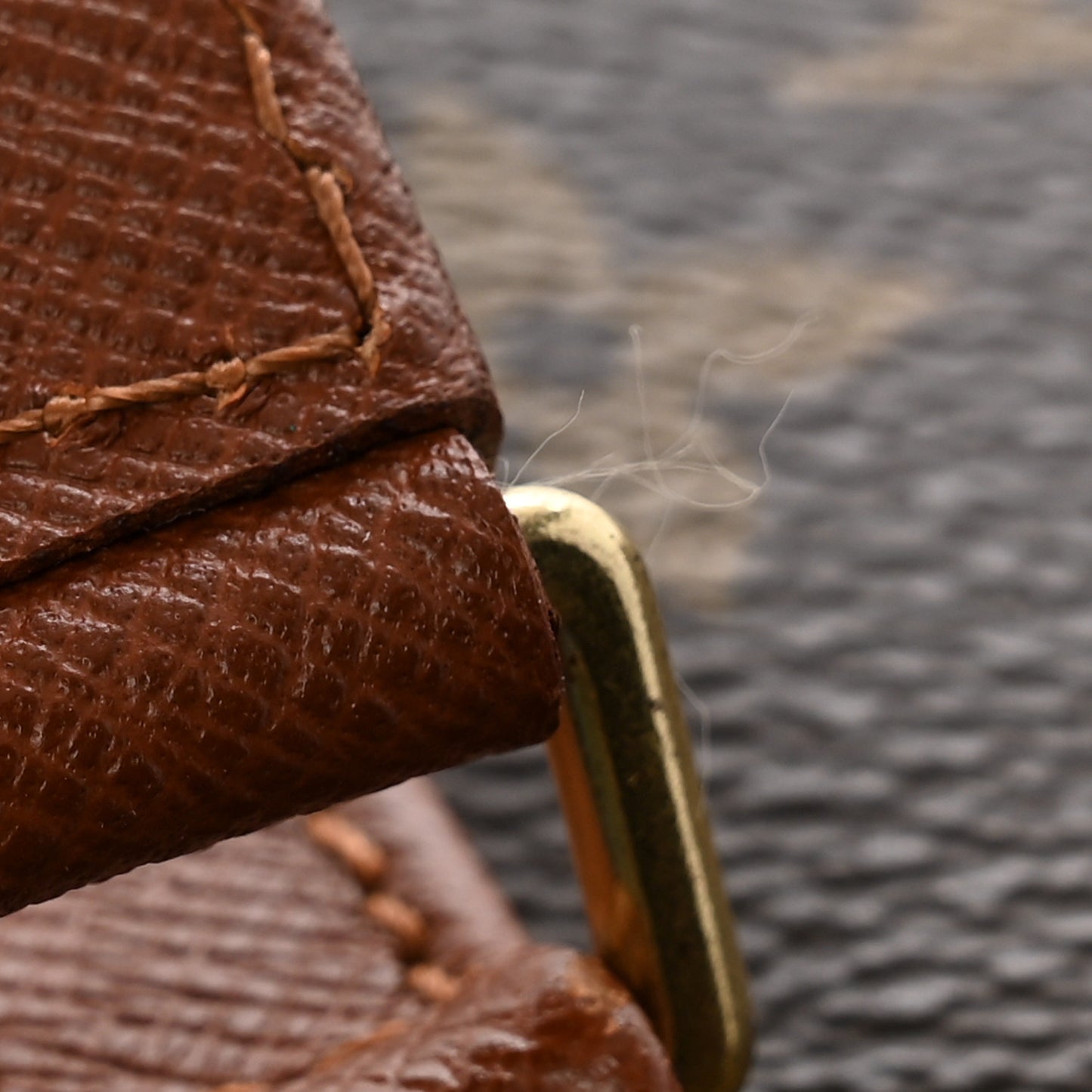 Monogram Papillon 30 With Companion