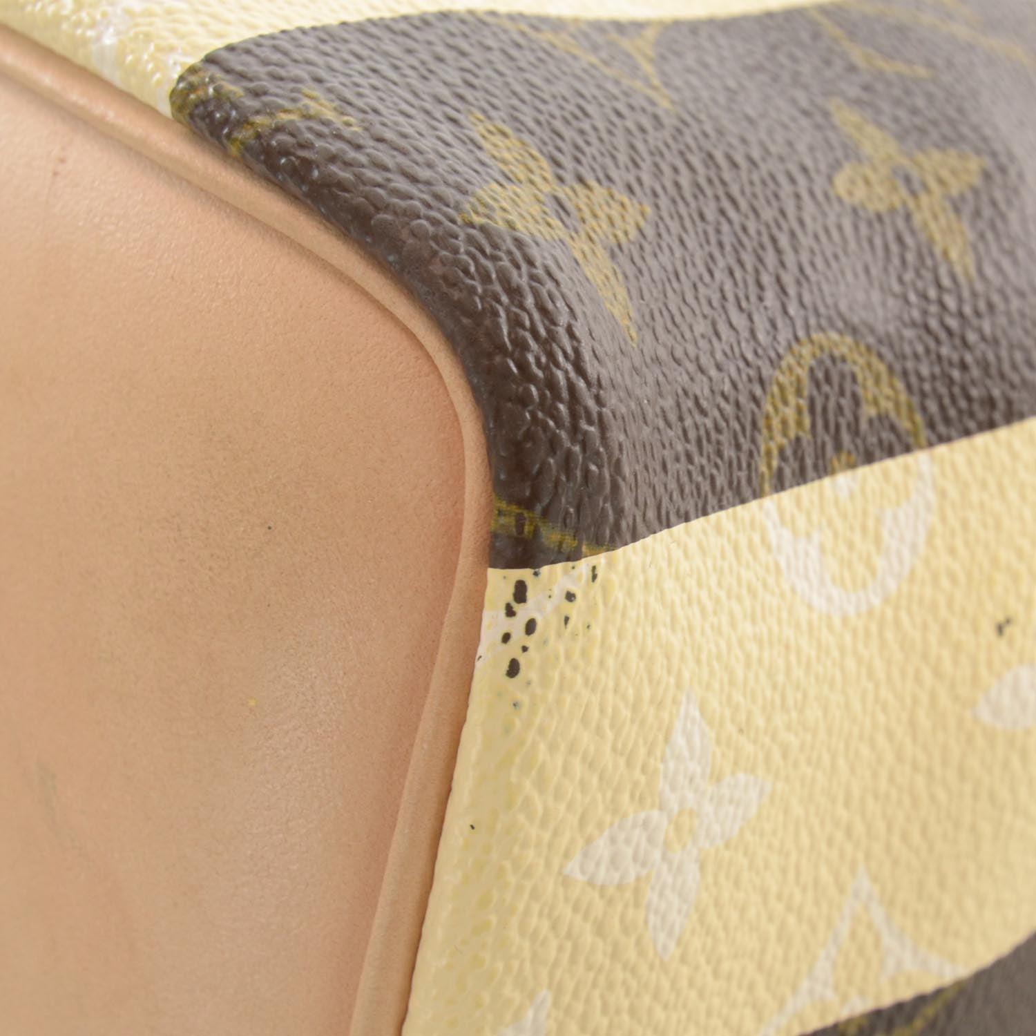Louis Vuitton Monogram Rayures Noe 6 of 8