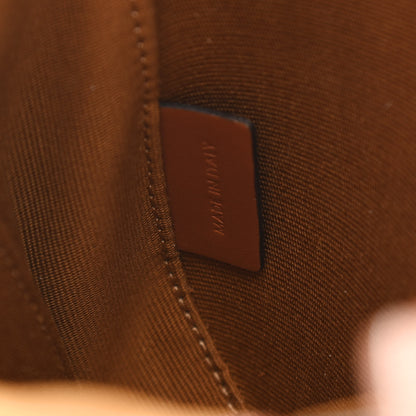 Celine Canvas Calfskin Triomphe Mini Besace Tan 6 of 10