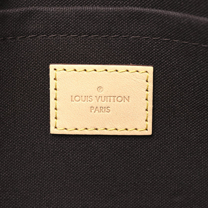 Louis Vuitton Monogram Favorite MM 6 of 11