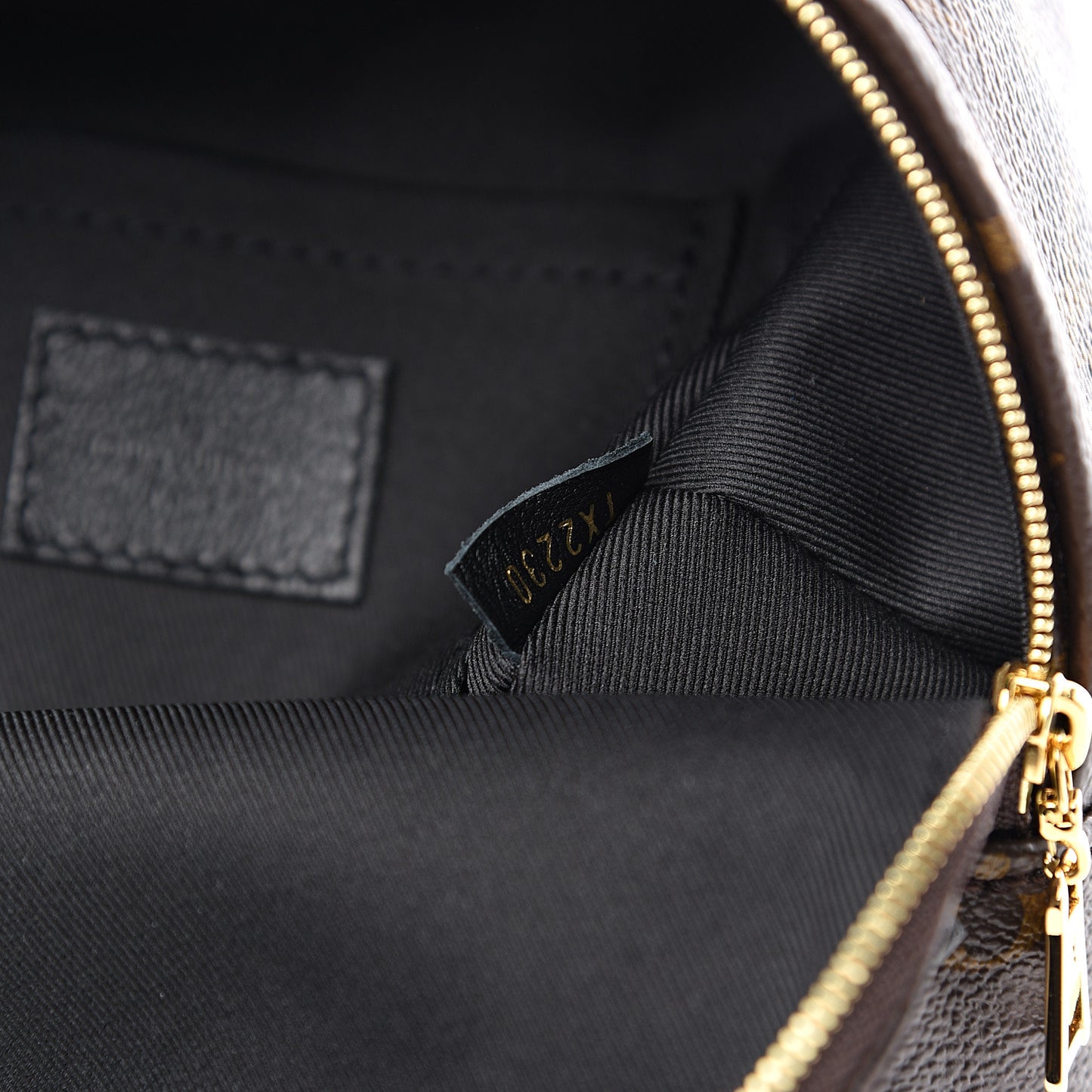 Monogram Palm Springs Backpack Mini