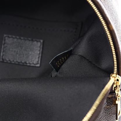 Louis Vuitton Monogram Palm Springs Backpack Mini 6 of 9