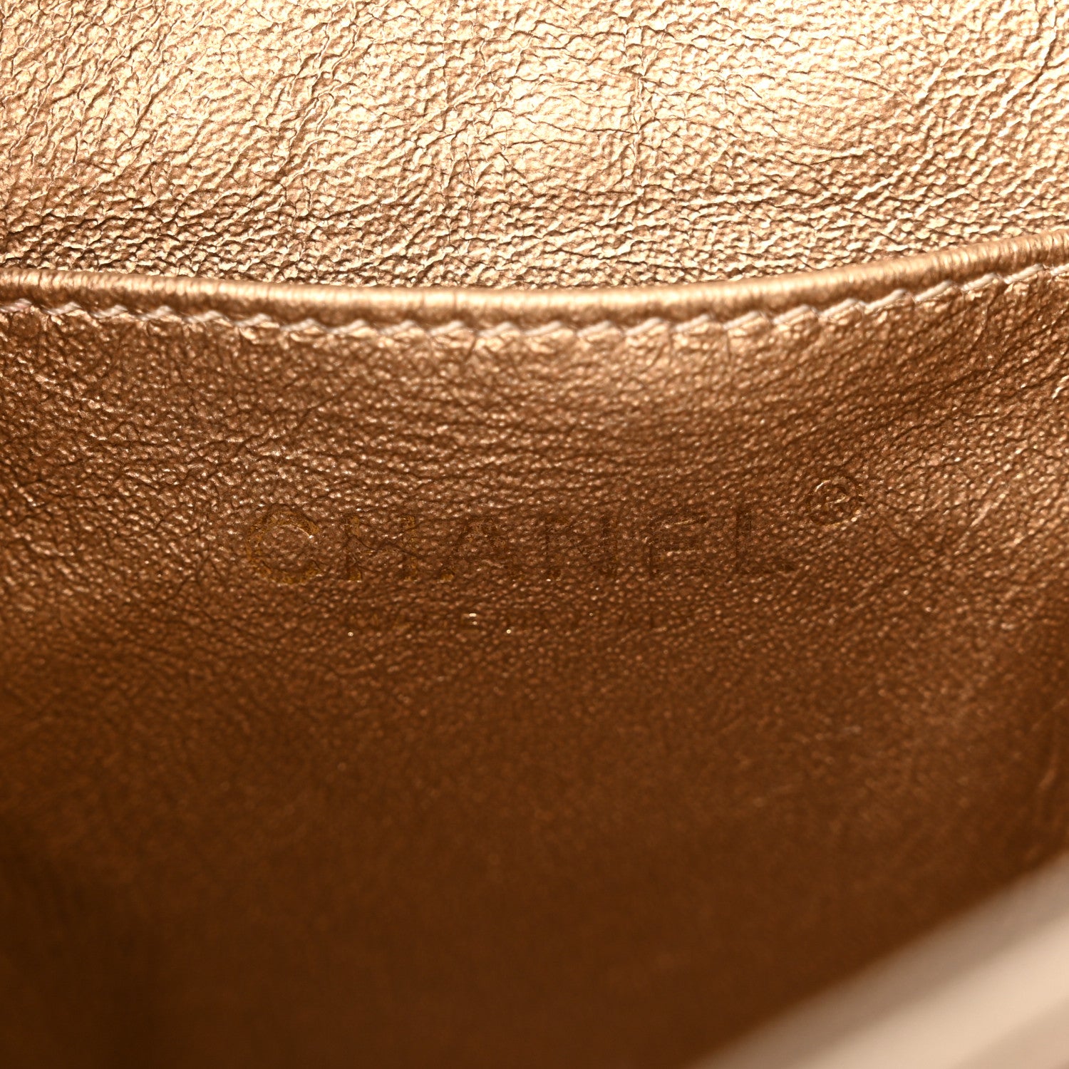 Chanel Metallic Calfskin Snakeskin Chevron Quilted Backpack Multicolor 6 of 10