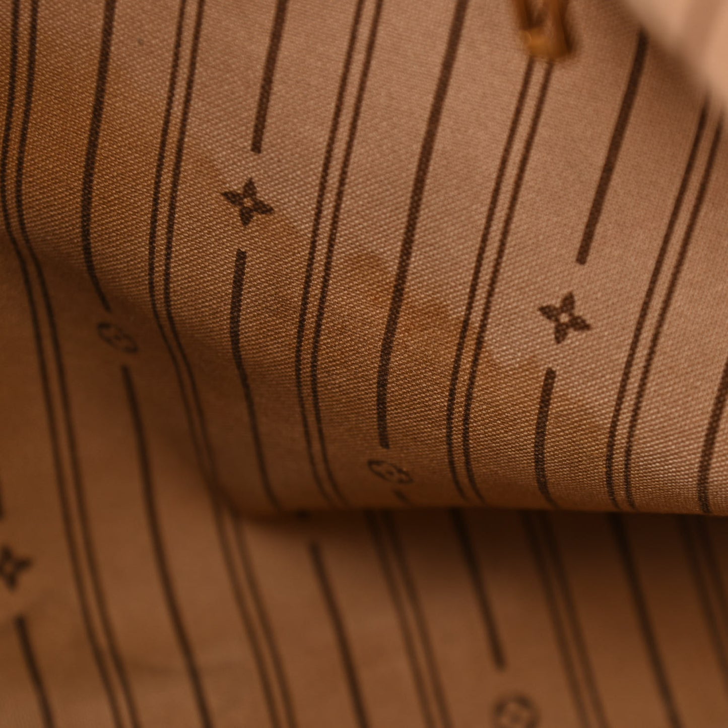 Monogram Delightful MM