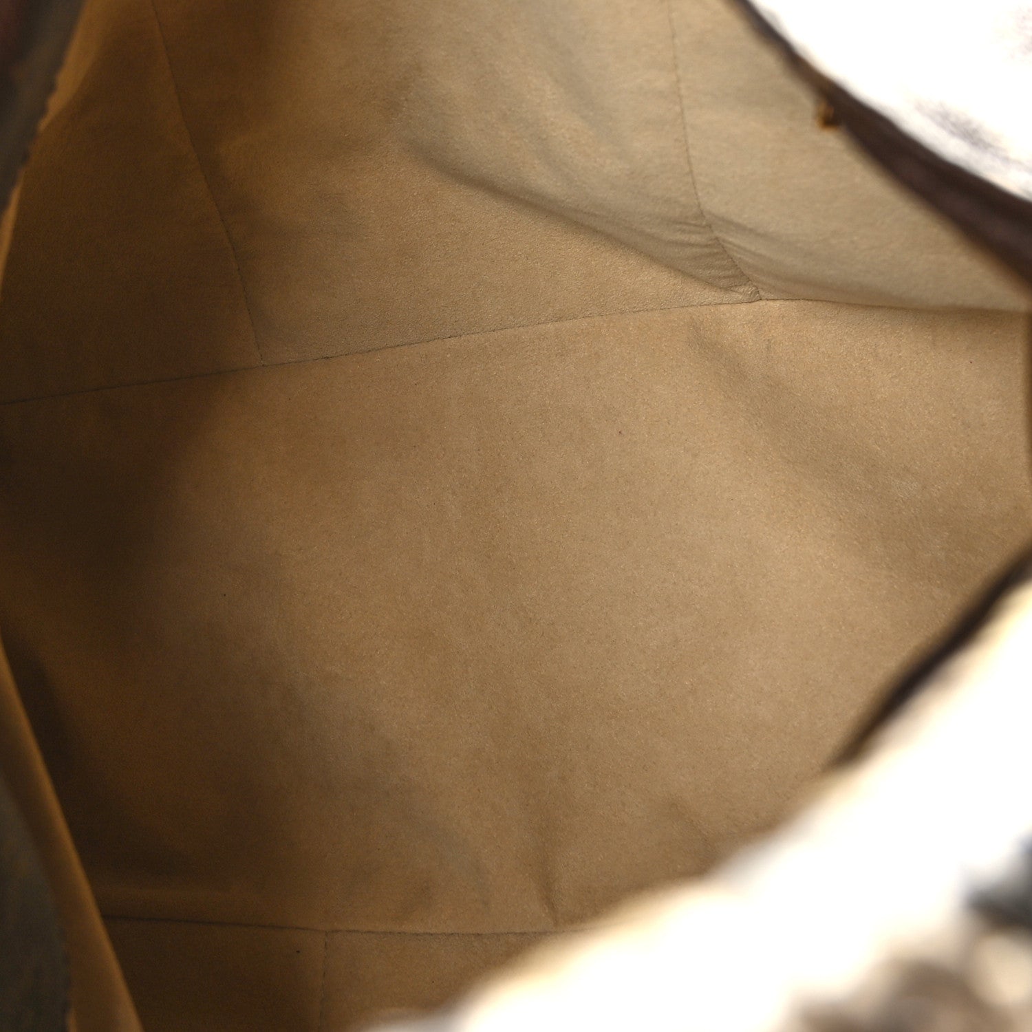 Louis Vuitton Snakeskin Monogram Artsy MM 5 of 8