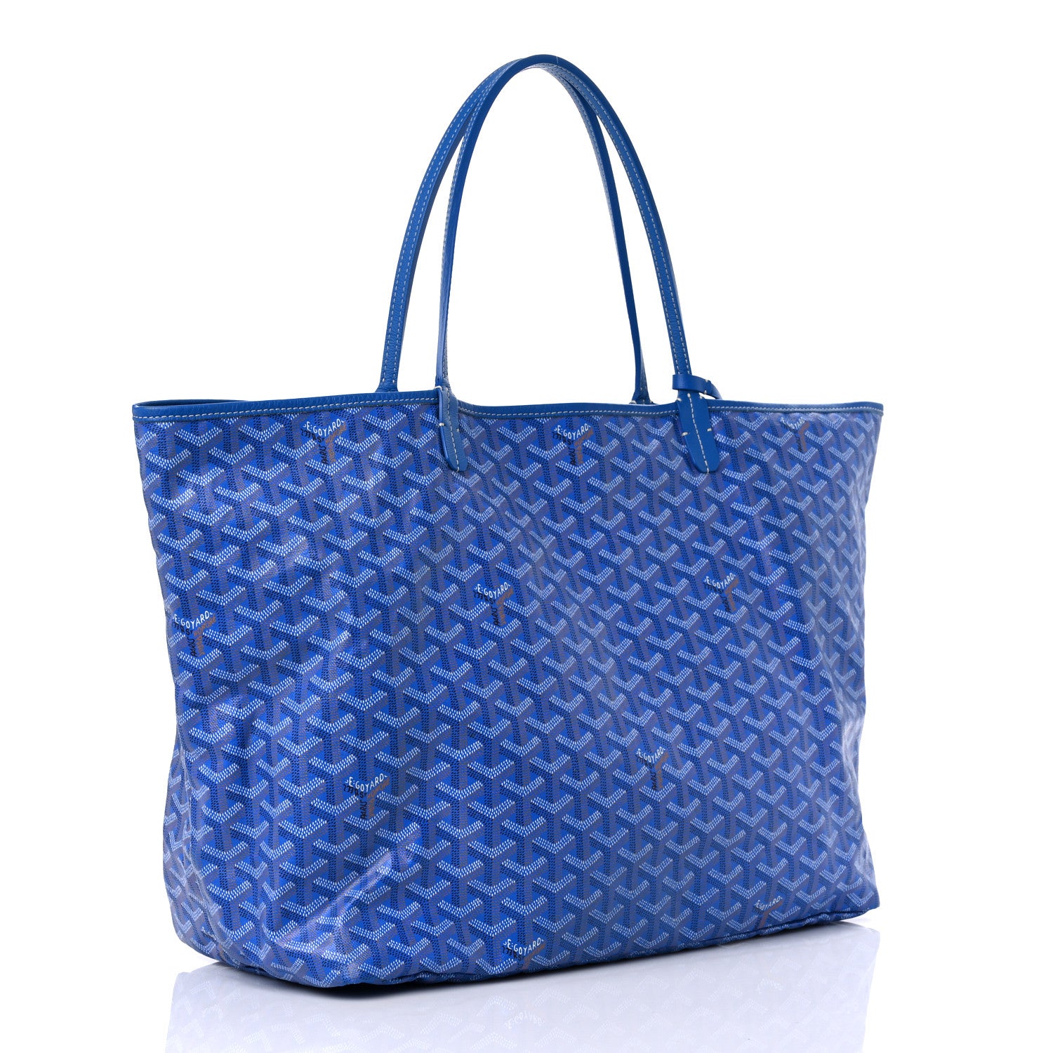 Goyard Goyardine Saint Louis PM Sky Blue 3 of 16