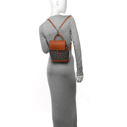 Goyard Goyardine Calfskin Mini Alpin Backpack Black Gold 2 of 9