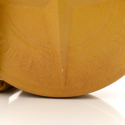 Christian Dior X STONE ISLAND Calfskin Mens Round Bag Tane Gold 11 of 12
