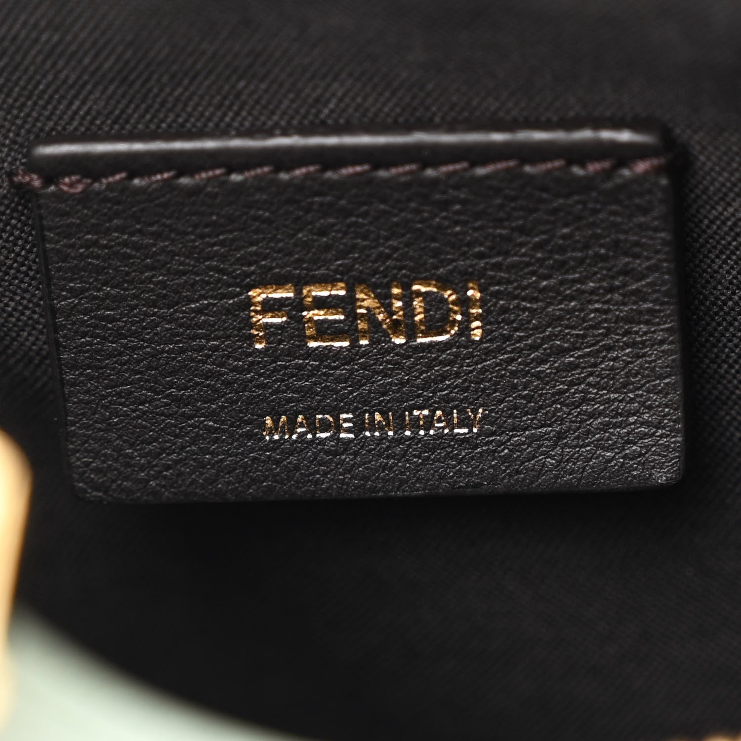 Fendi Vitello Grace Matte Small Fendigraphy Hobo Bag Menta 6 of 11