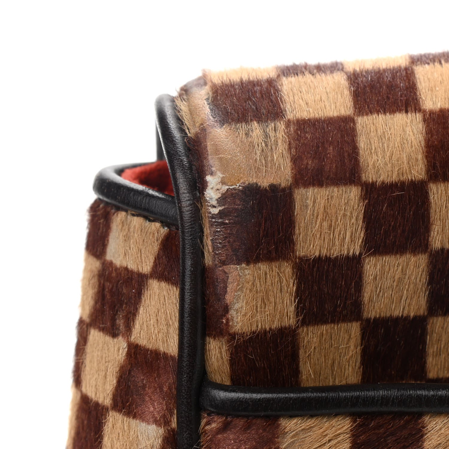 Louis Vuitton Damier Calf Hair Sauvage Lionne 11 of 14