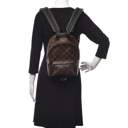 Louis Vuitton Monogram Palm Springs Backpack PM 2 of 10