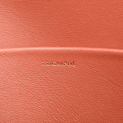 Celine Shiny Calfskin Triomphe Shoulder Bag Terracotta 6 of 9