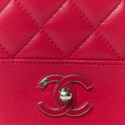 Chanel Iridescent Sheepskin Quilted Small Vintage Mademoiselle Flap Dark Pink 9 of 11