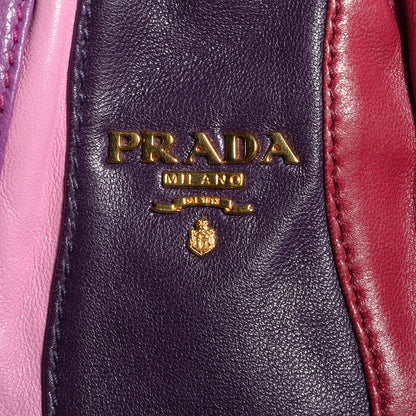 Prada Nappa Trembled Blossoms Stripes Crossbody Ibisco Viola 9 of 9